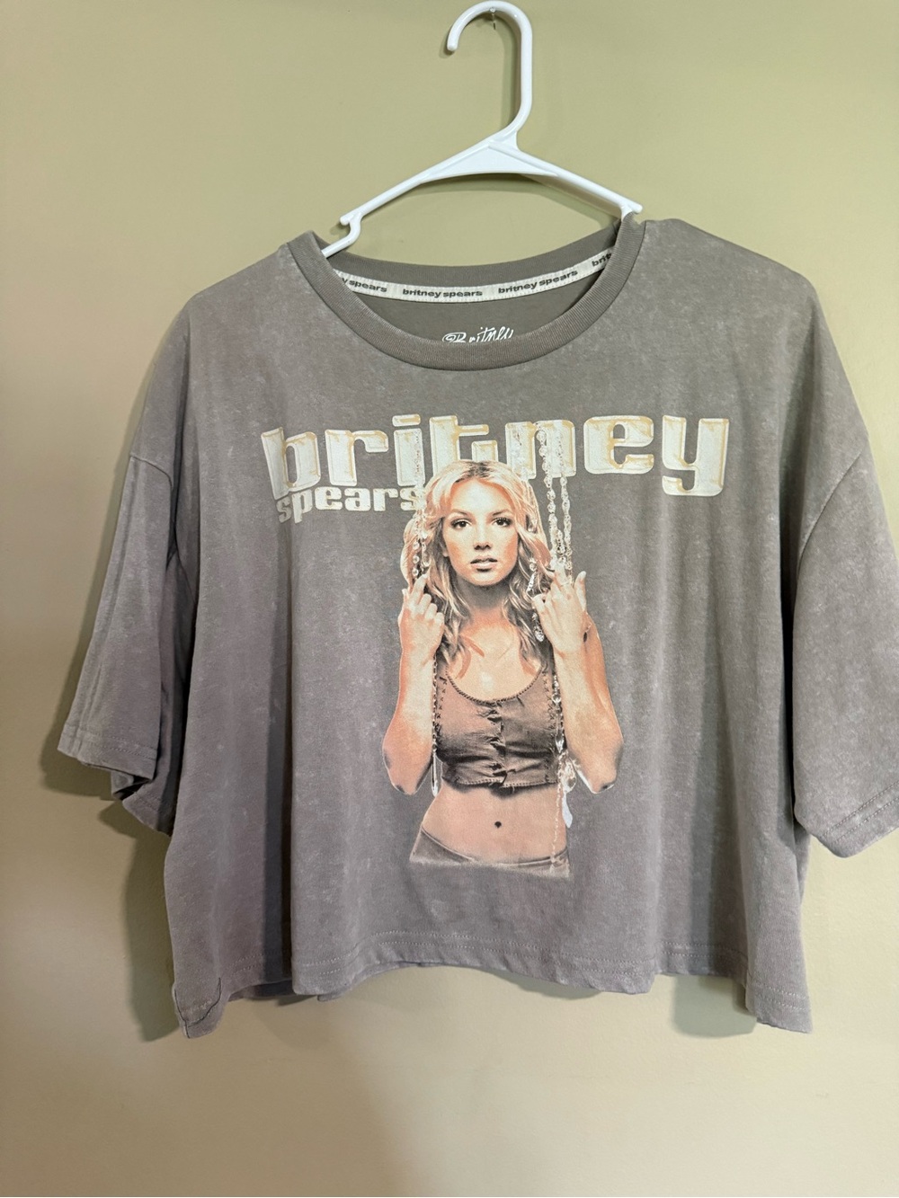 Vintage-Wash Gray Graphic Crop Tee